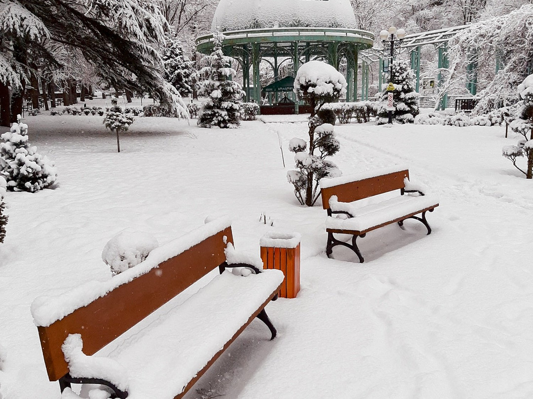 Borjomi Central Park-Borjomi必去景点