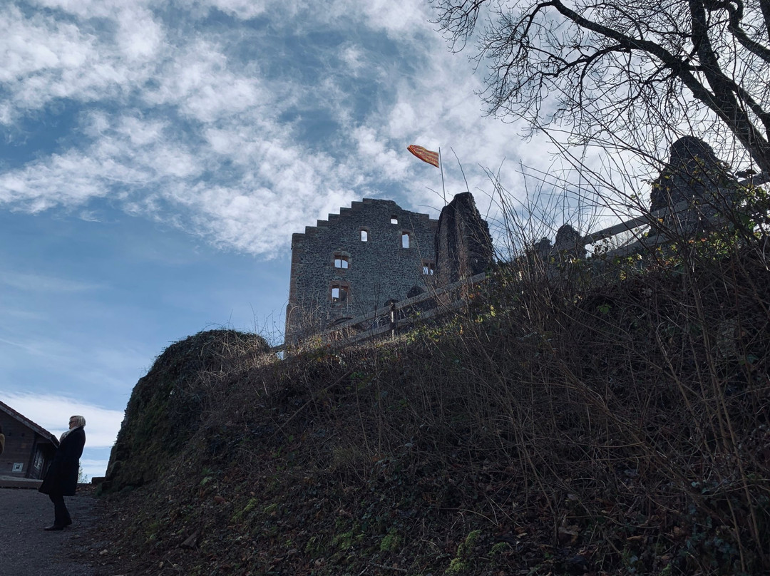 Burgruine Hohengeroldseck景点图片