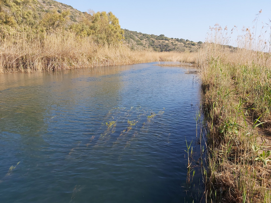 Parque Natural del Marjal de Pego-Oliva景点图片