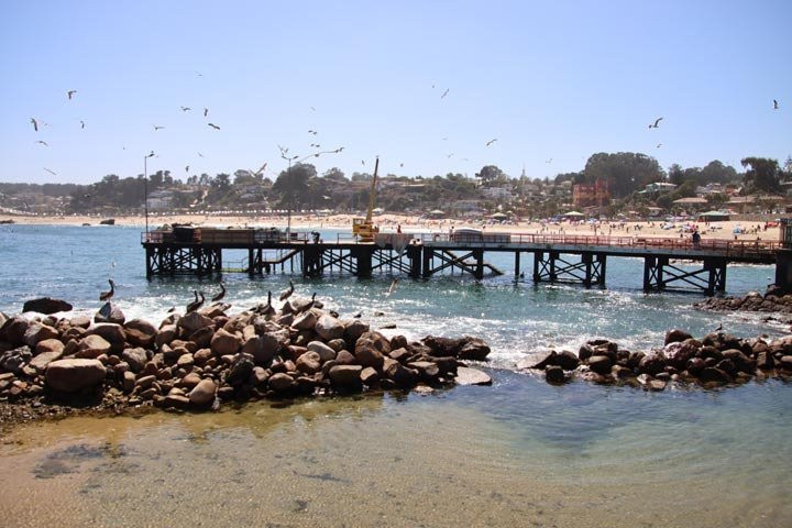 Playa El Quisco景点图片