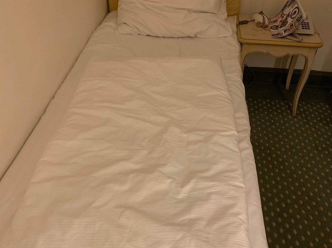 Hotel Adler主图