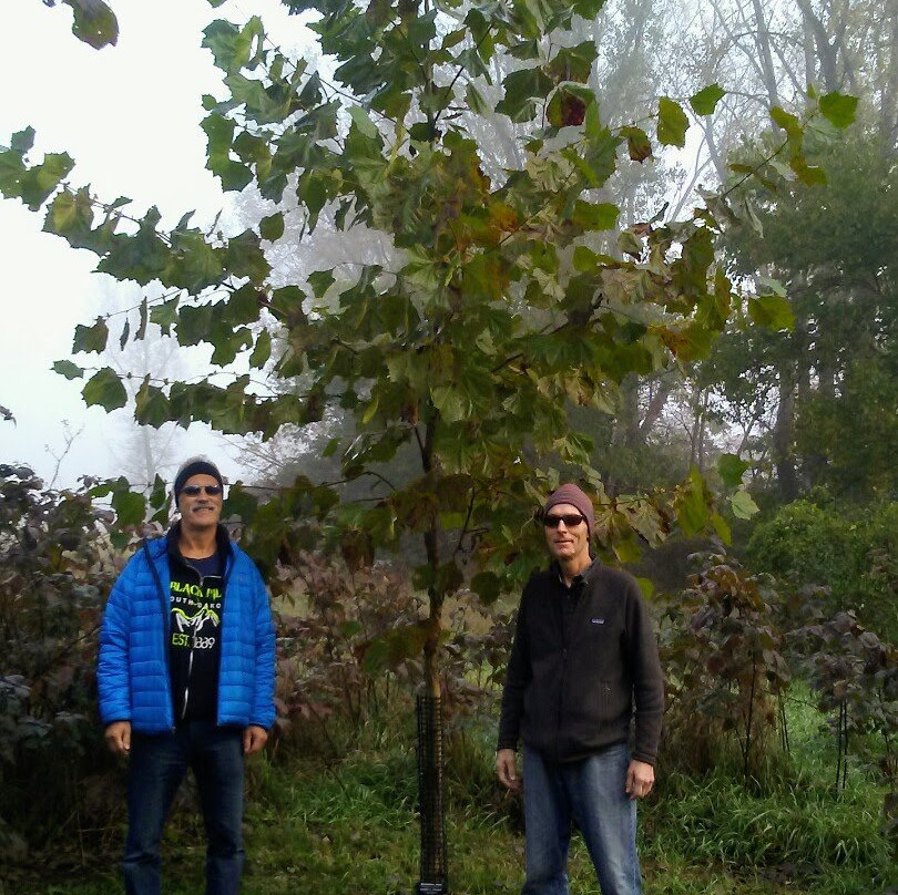 Wanatee Park-Marion必去景点