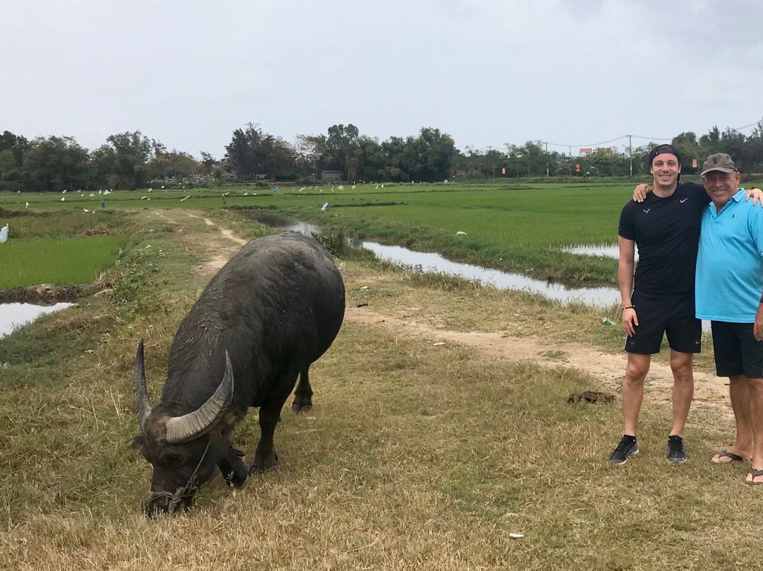 Vi Velo Tour-会安必去景点