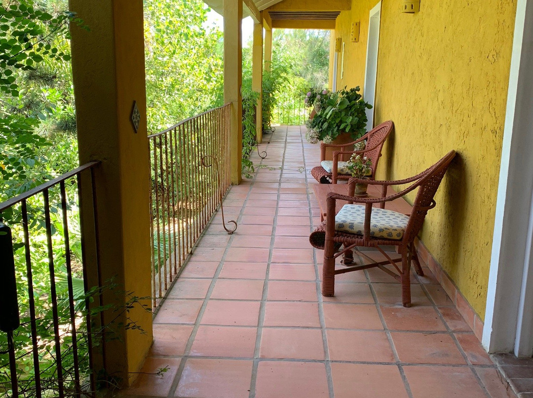 Hotel La Bluette主图