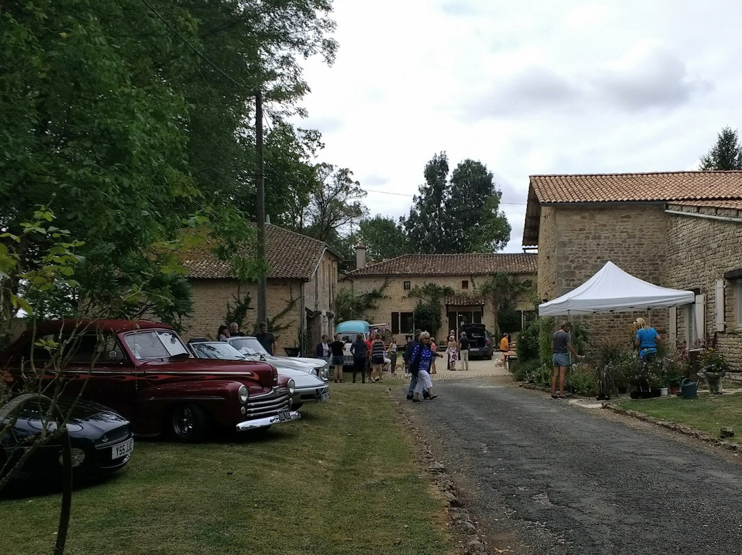 Le Petit Moulin主图