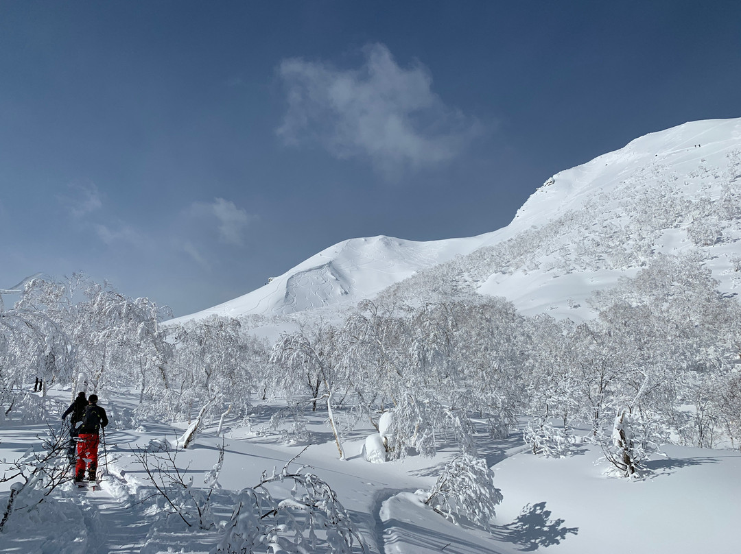 Japan Powder Connection-二世谷町必去景点