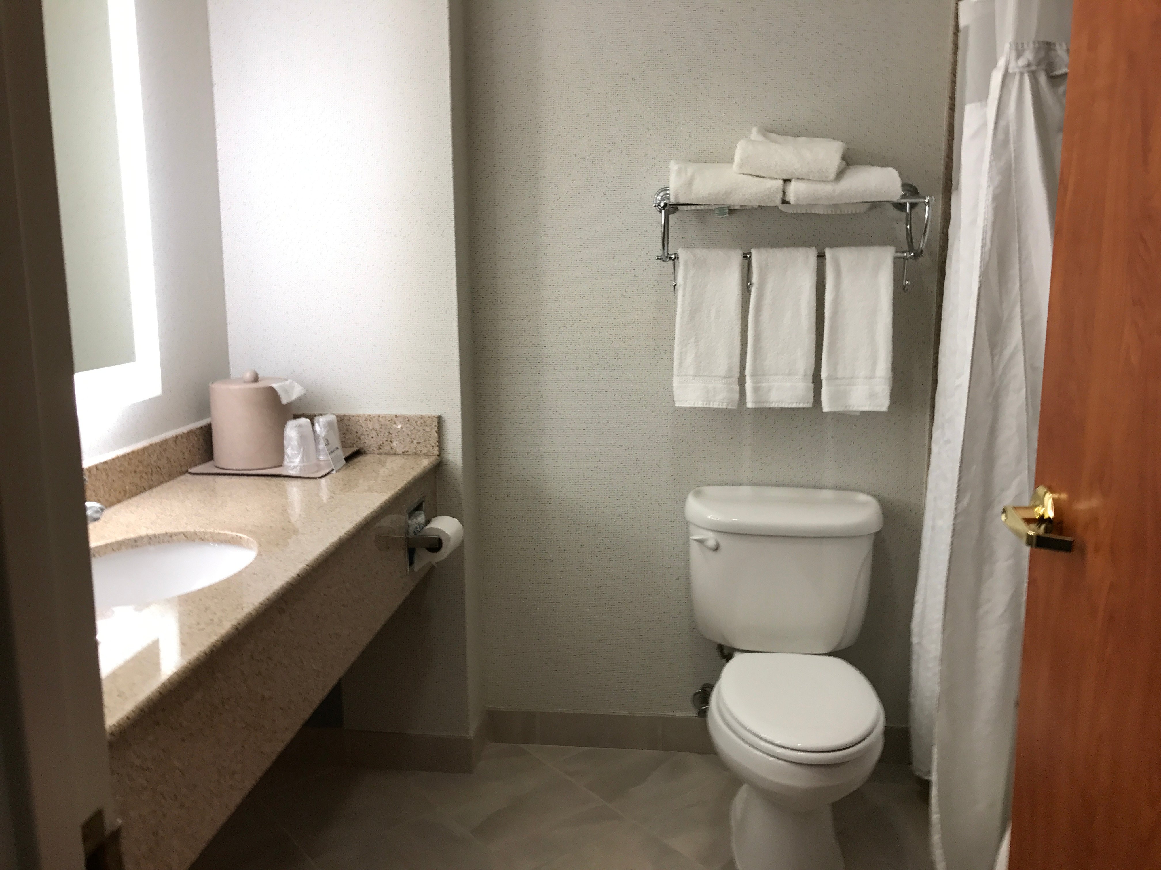 Holiday Inn Express & Suites Carson City, an IHG hotel-浴室