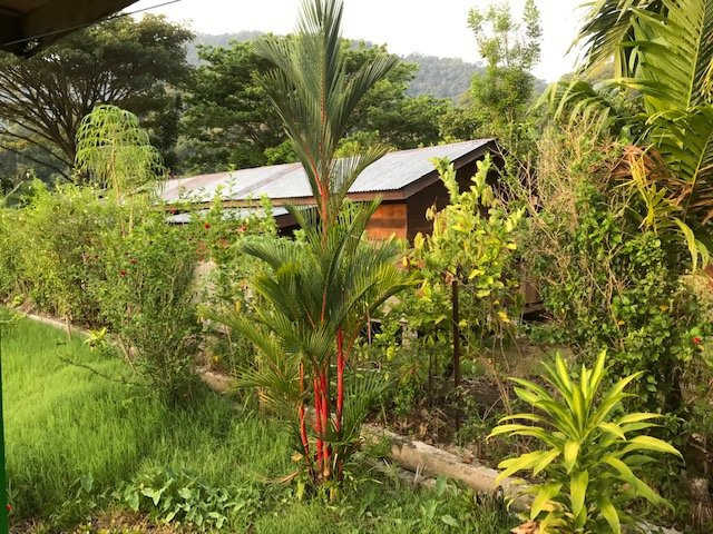 Friendship Guesthouse & Restaurant主图