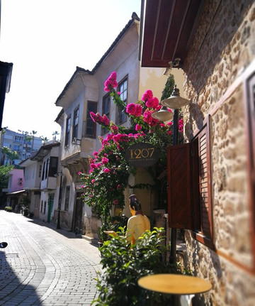 Hotel 1207 Special Class主图