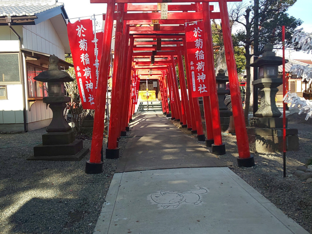 Okiku Inari Shrine景点图片