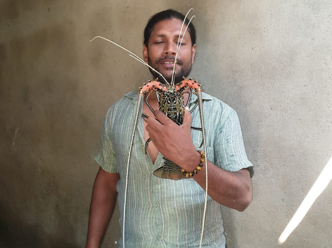 Manik Tours-希克杜沃必去景点