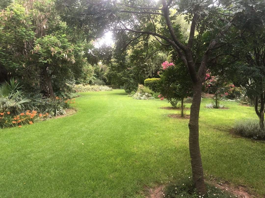 Beyond Cui Bono主图