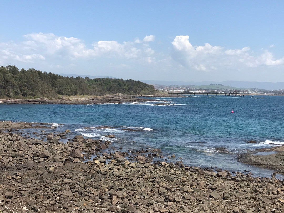 Bass Point Reserve-谢尔哈伯必去景点