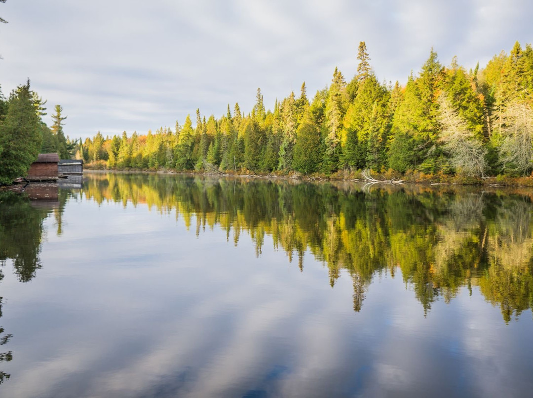 Algonquin Provincial Park景点图片