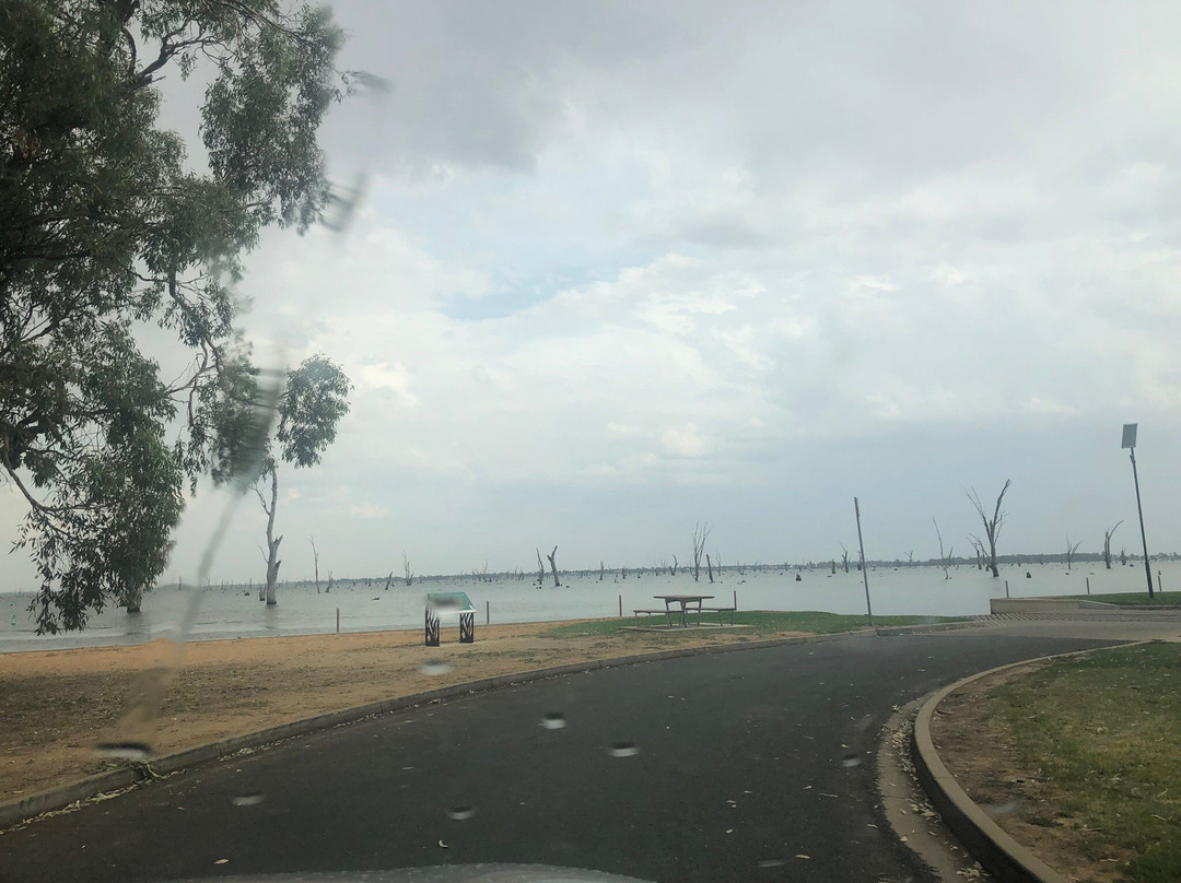 Owen Bridges Reserve