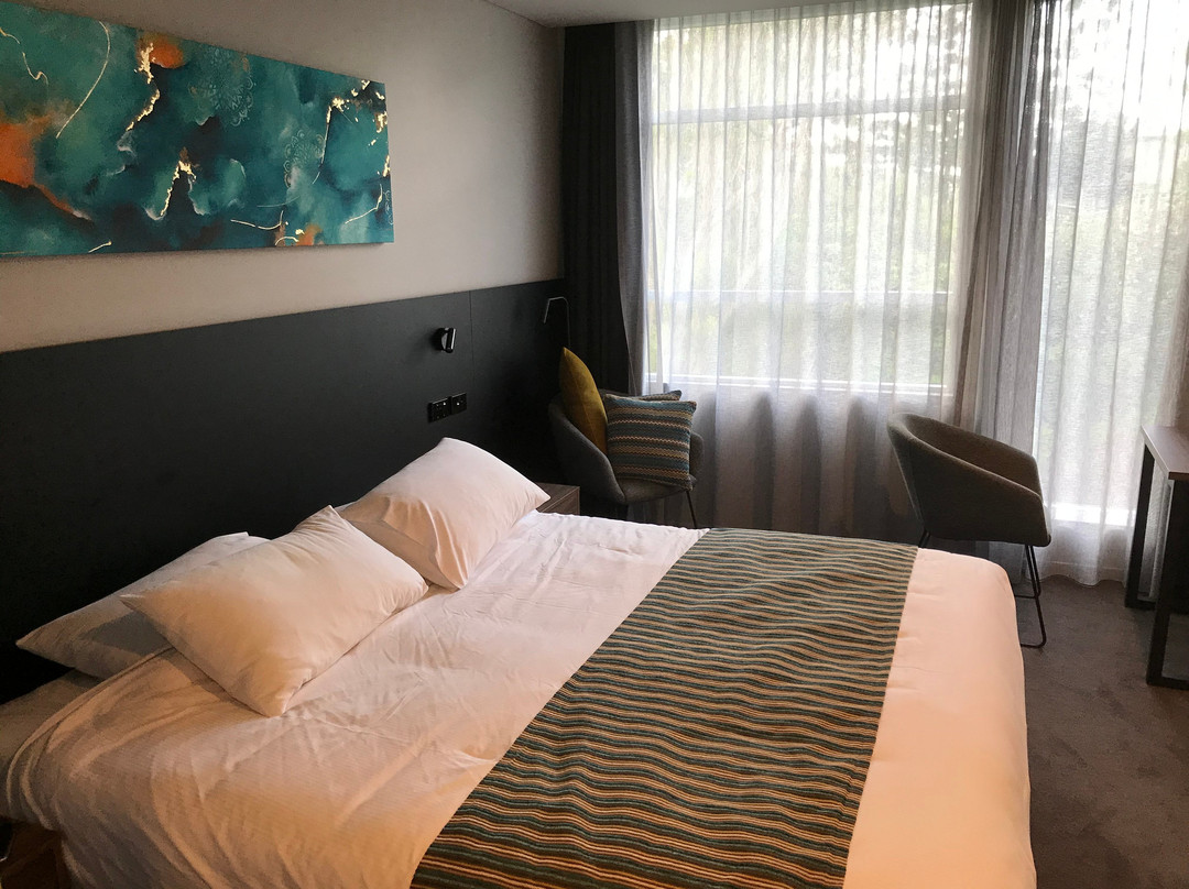 Elite Gold Coast主图