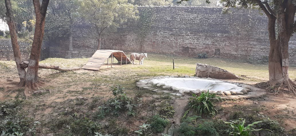 Gandhi Prani Udhyan-瓜廖尔必去景点