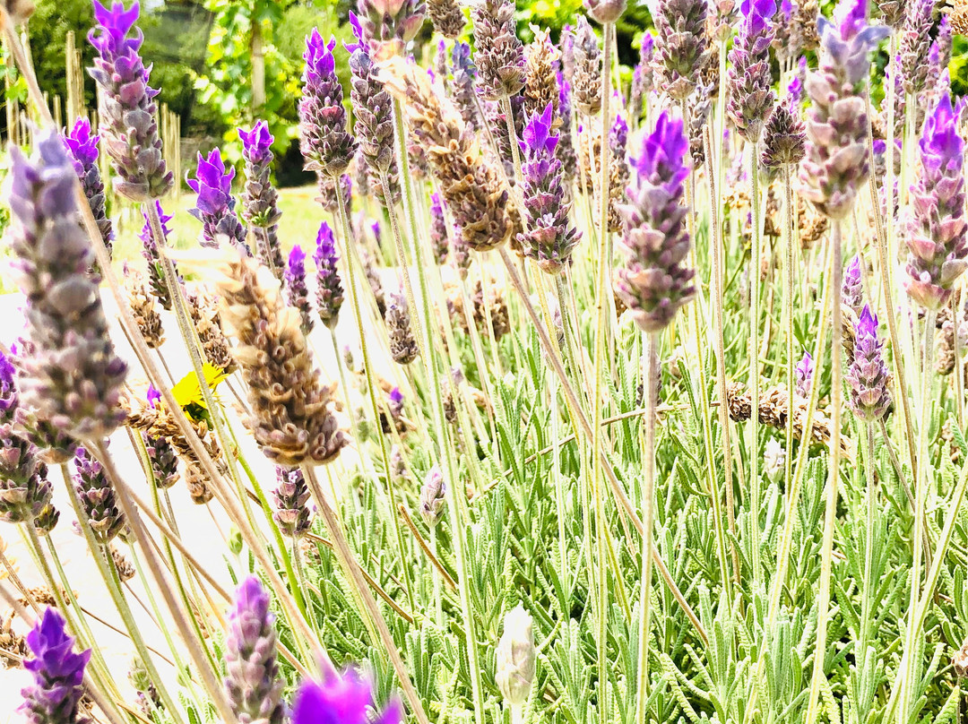 Casa El Enemigo-Maipu必去景点