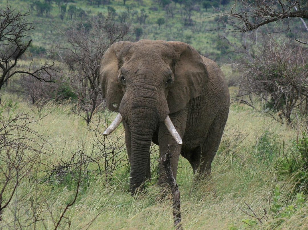 Pathfinder Travel Consultancy (PTY) LTD