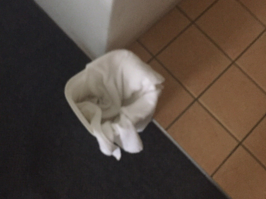 Macquarie Barracks Motor Inn主图