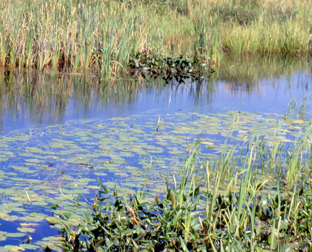 Temagami Wilderness-Temagami必去景点