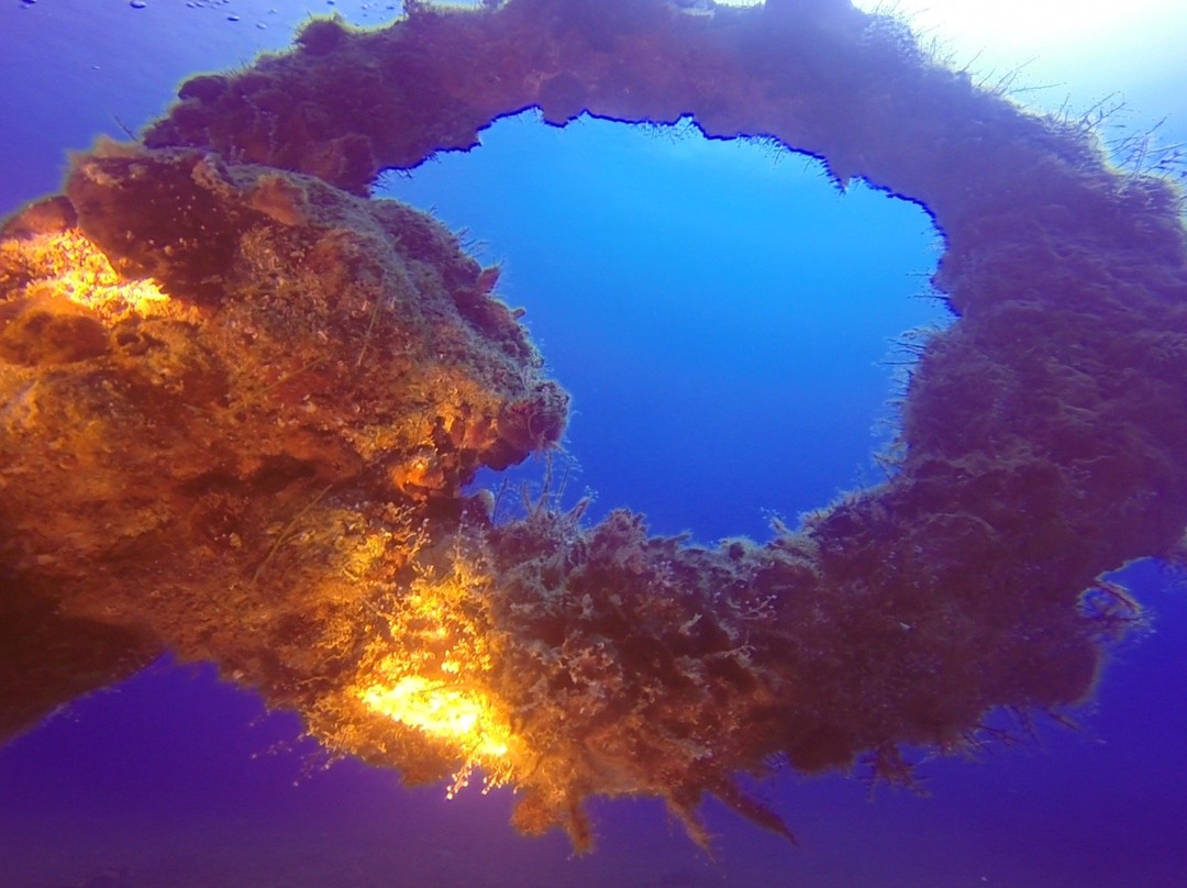 Golden Rock Dive Center-圣尤斯泰希厄斯岛必去景点