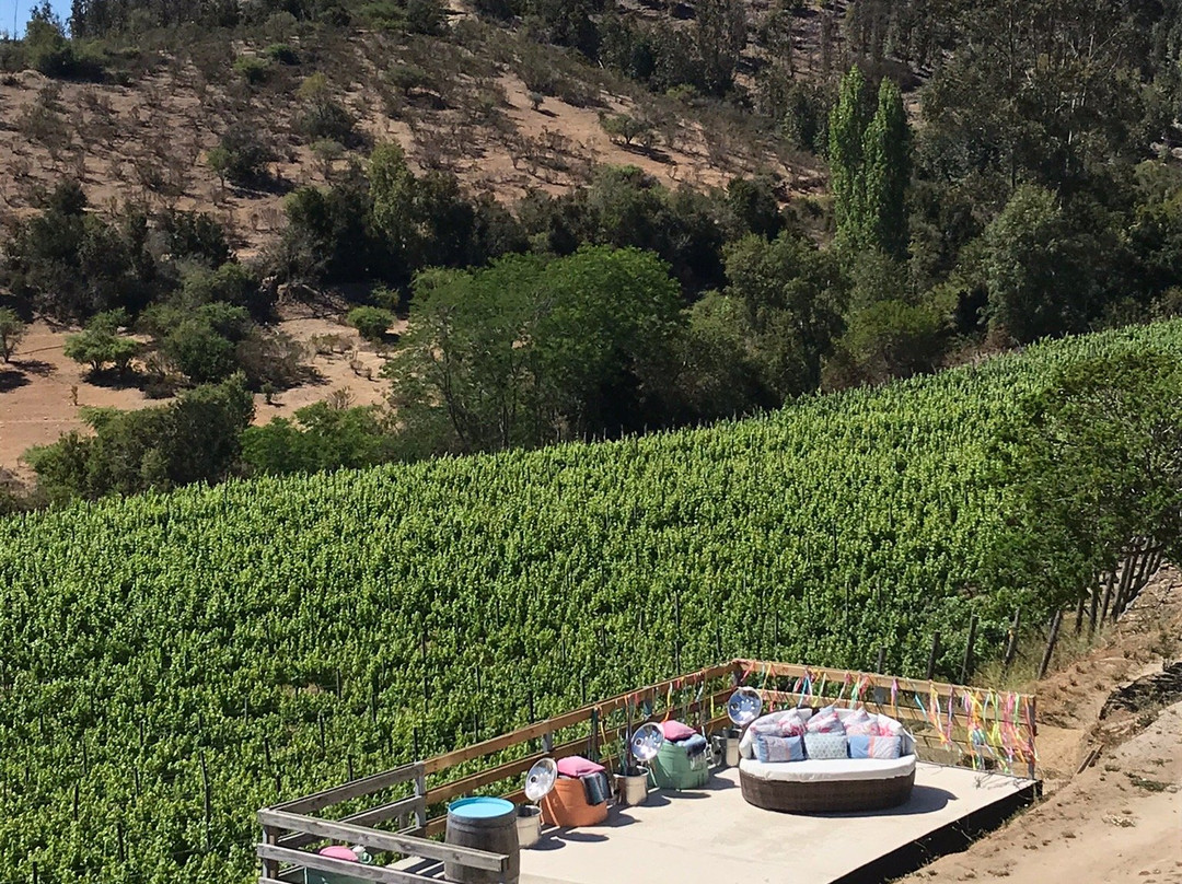 La Recova Wines-卡萨布兰卡必去景点