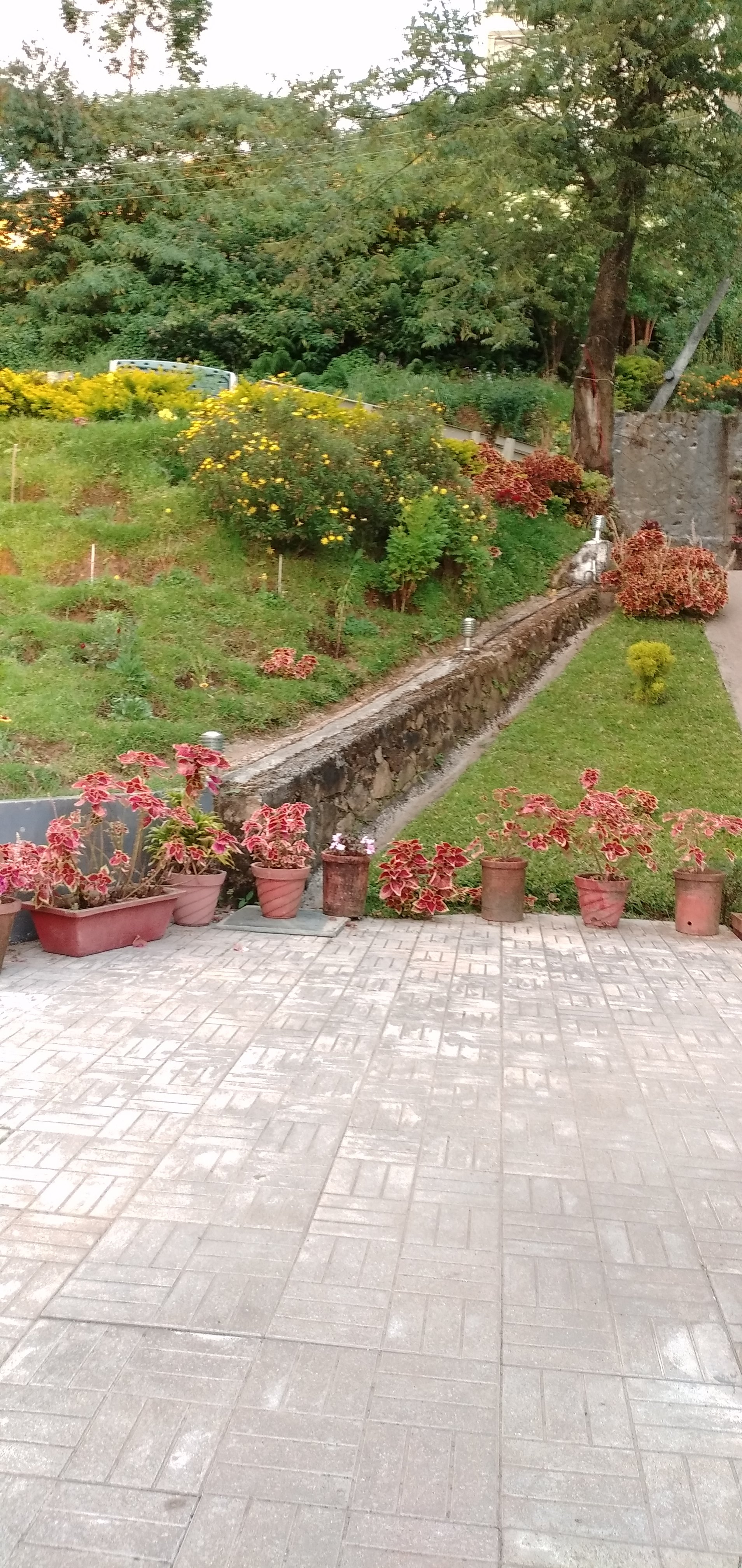 The Club Munnar-官方