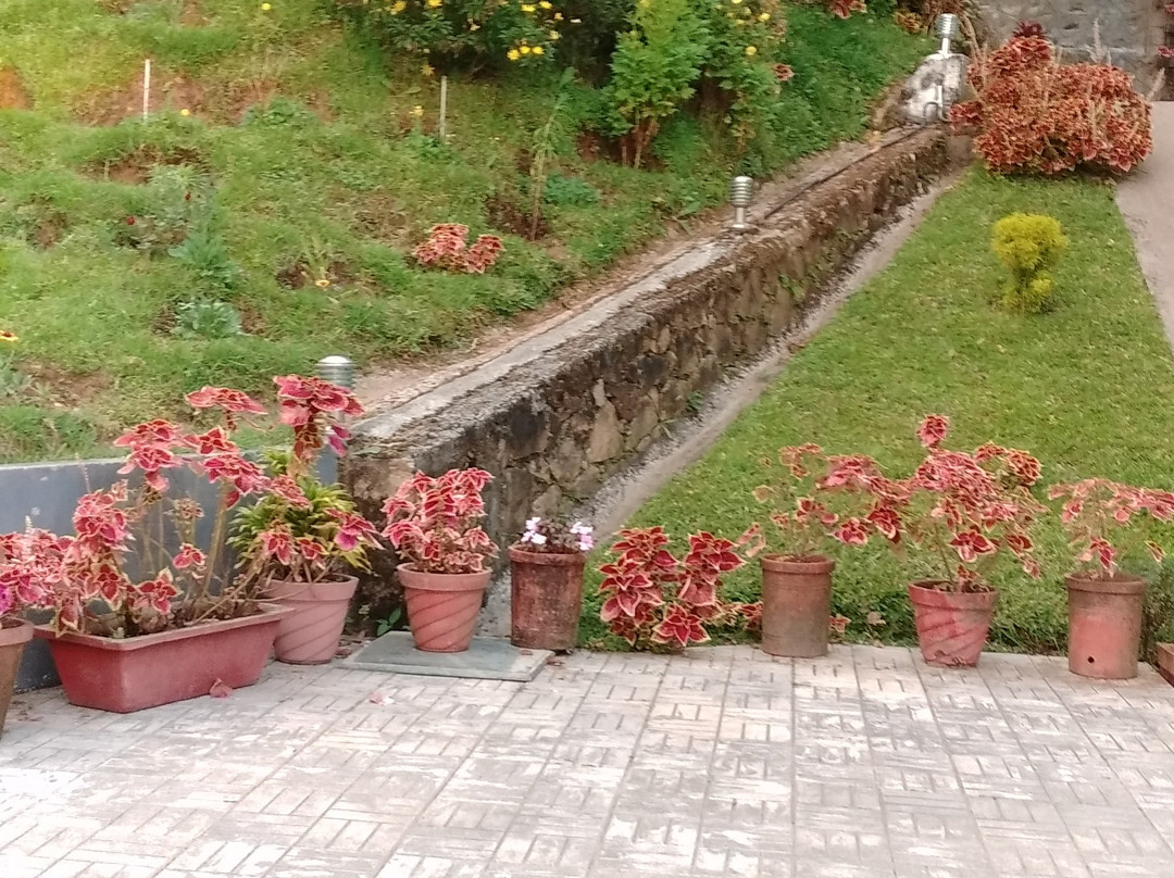 The Club Munnar主图