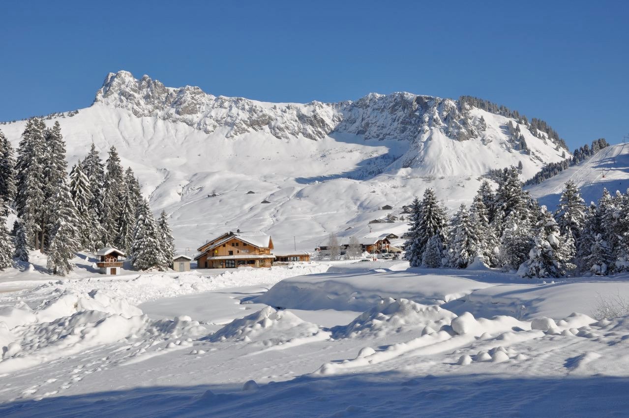 Les Roches 1500-官方