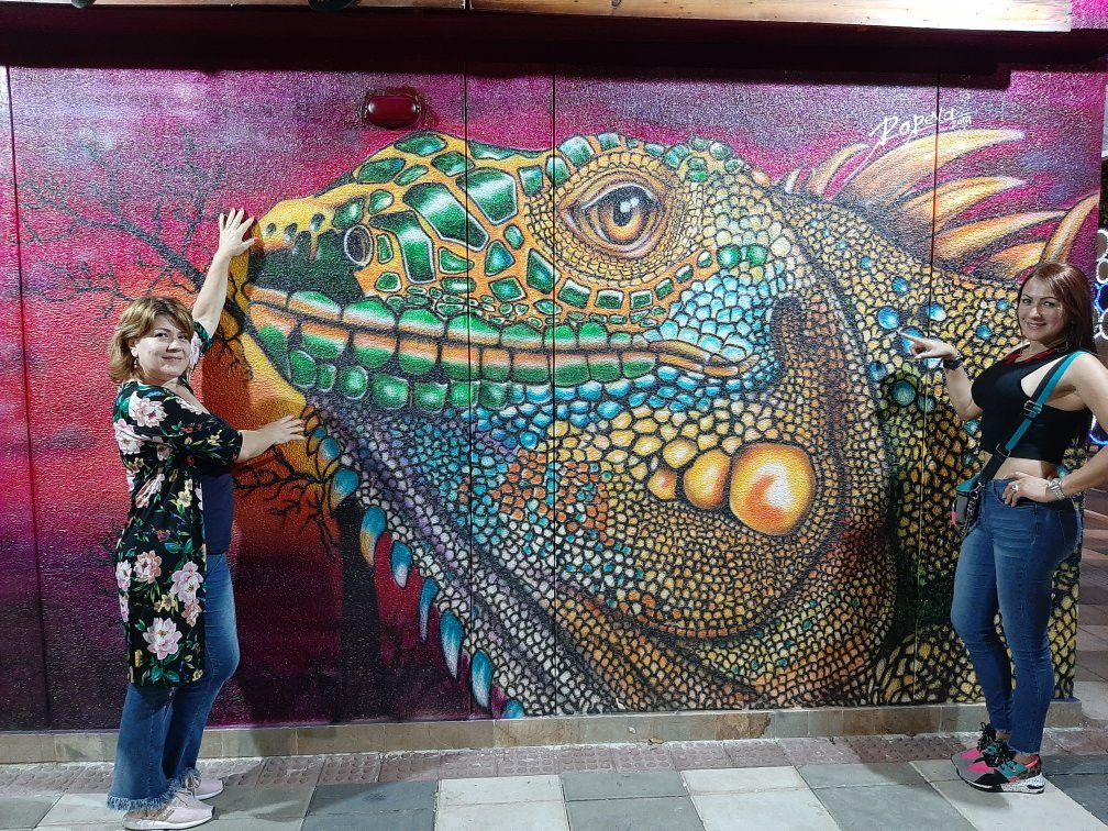 Parque La Provincia -巴耶杜帕尔必去景点