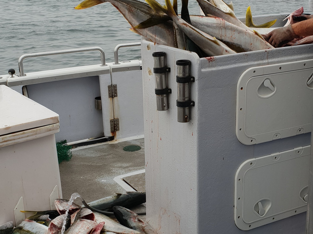 Terrigal Blue Water Fishing Charters景点图片