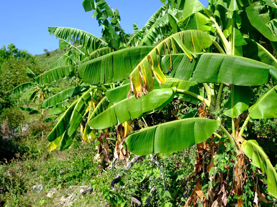 Golden Bay Hotel主图