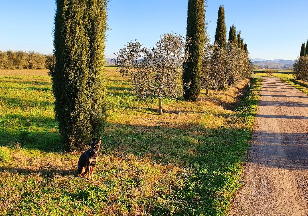 Agriturismo Al Vermigliano主图