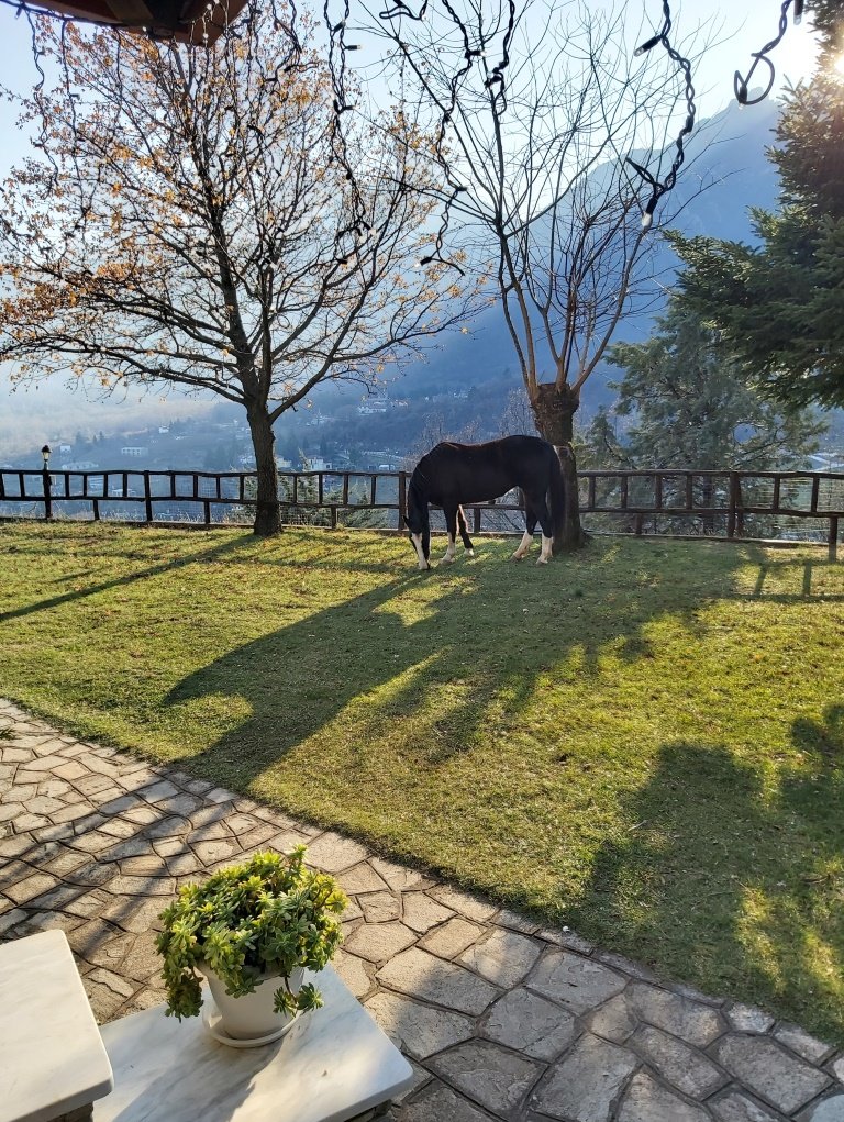 Guesthouse Niaousta-浴室
