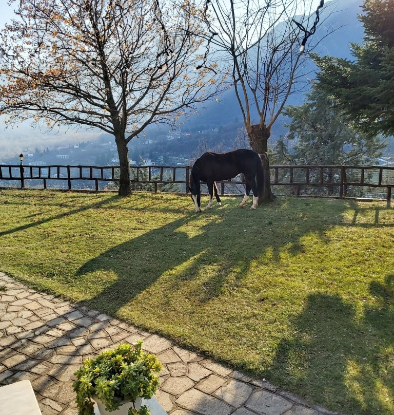 Guesthouse Niaousta主图