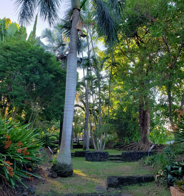 Sadie Seymour Botanical Gardens-凯鲁瓦-柯纳必去景点