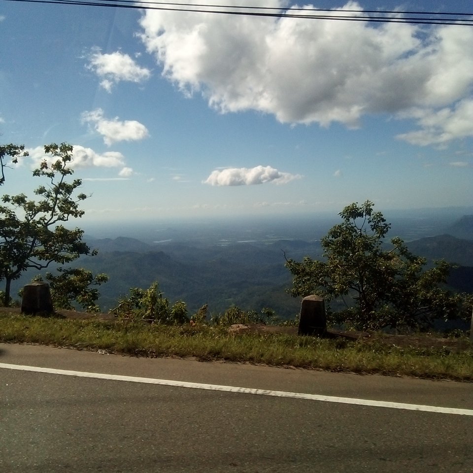 艾拉摇滚旅馆-portrait