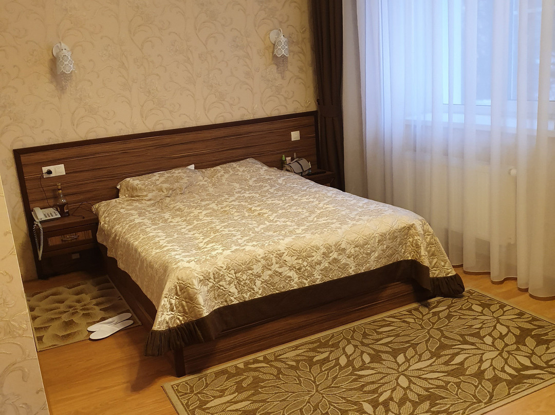 Wellness Hotel主图