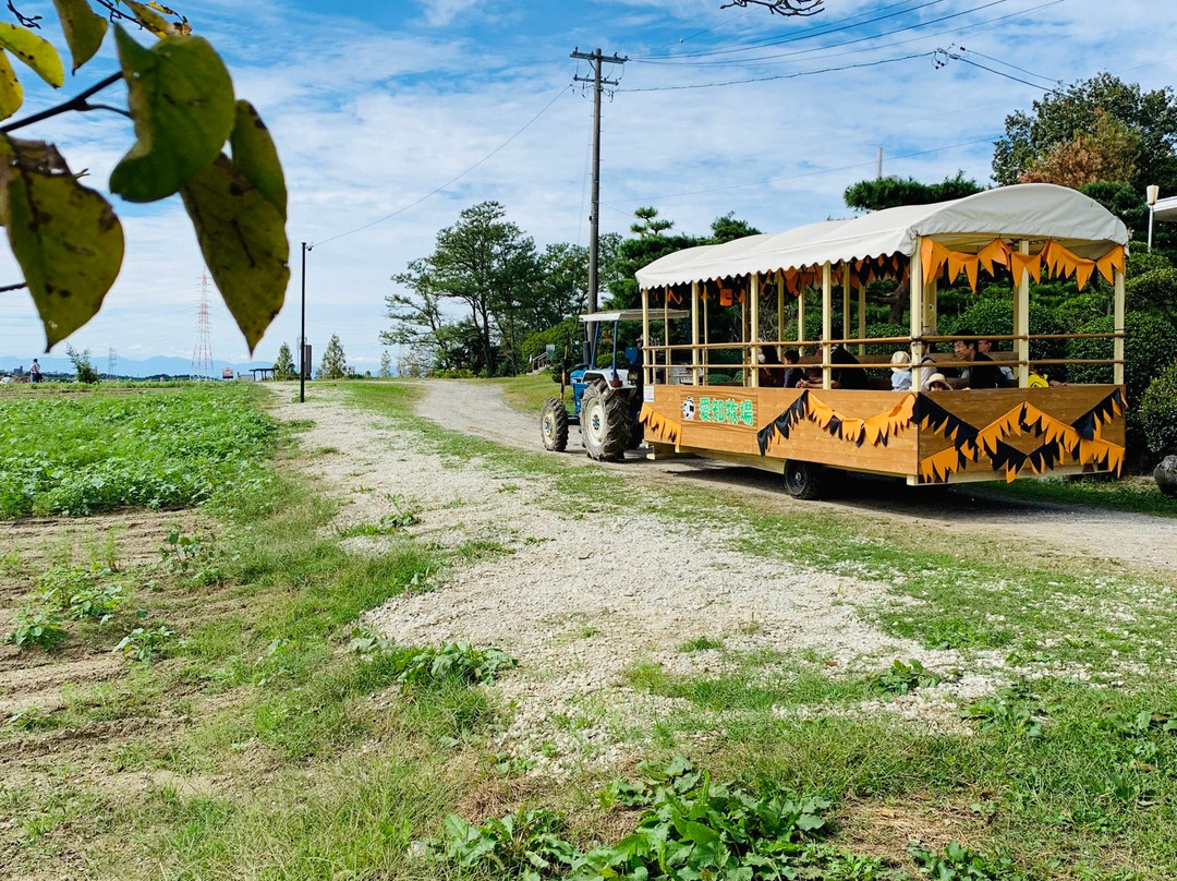 Aichi Farm-日进市必去景点
