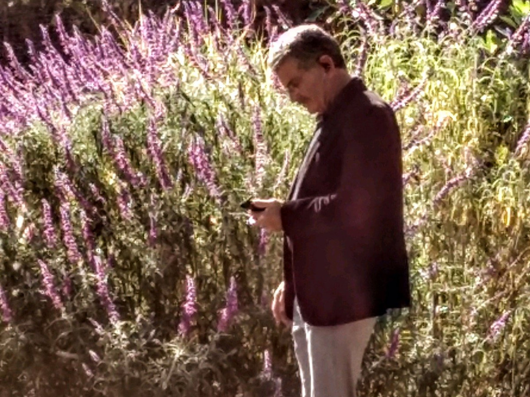 The Duckhorn Collection at Paraduxx-纳帕必去景点