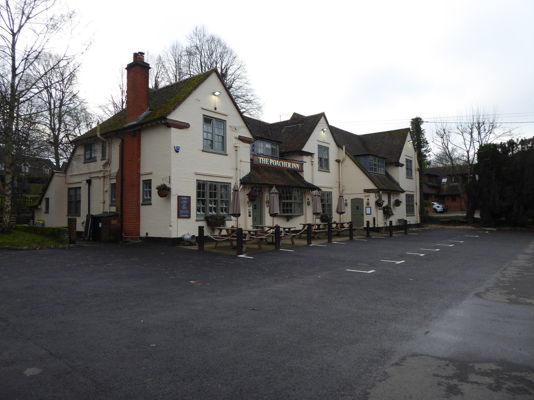 偷猎者旅馆主图