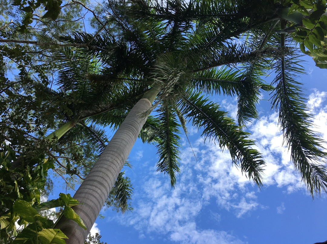 Mundo Milo Eco Lodge主图