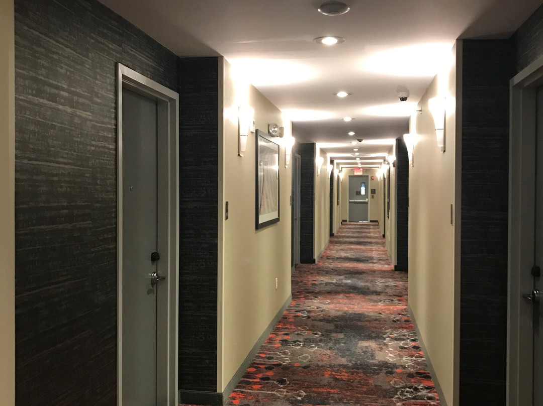 Comfort Inn & Suites near Stadium主图