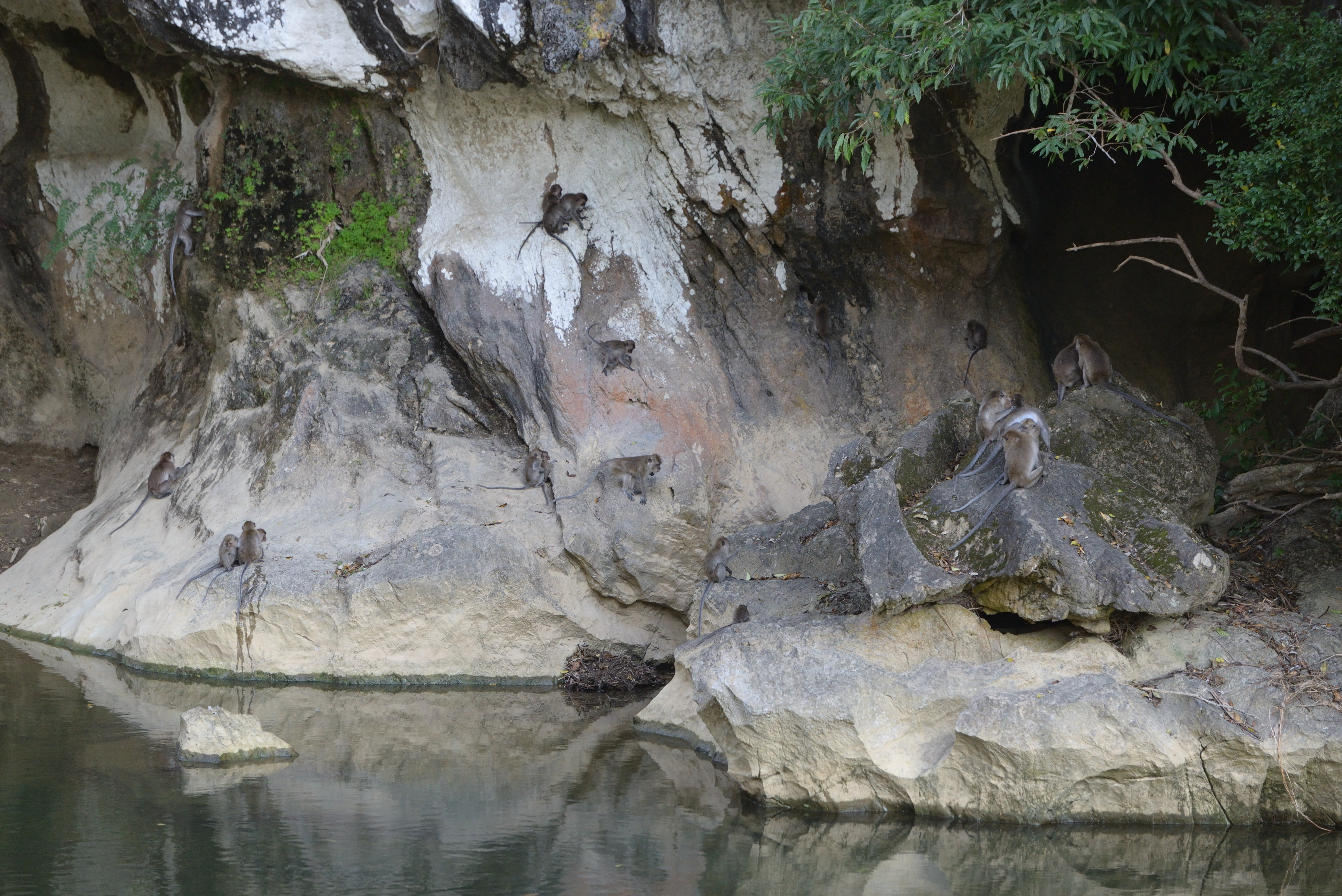 Art's Riverview Jungle Lodge-泳池