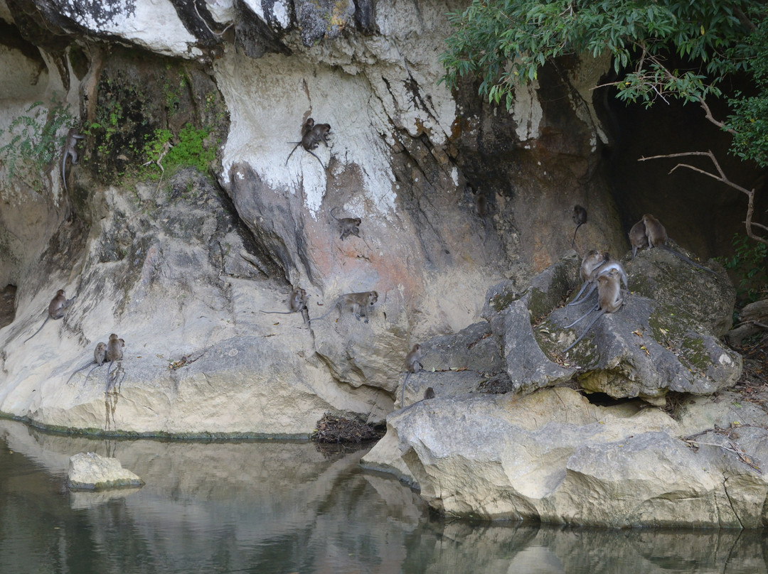 Art's Riverview Jungle Lodge主图