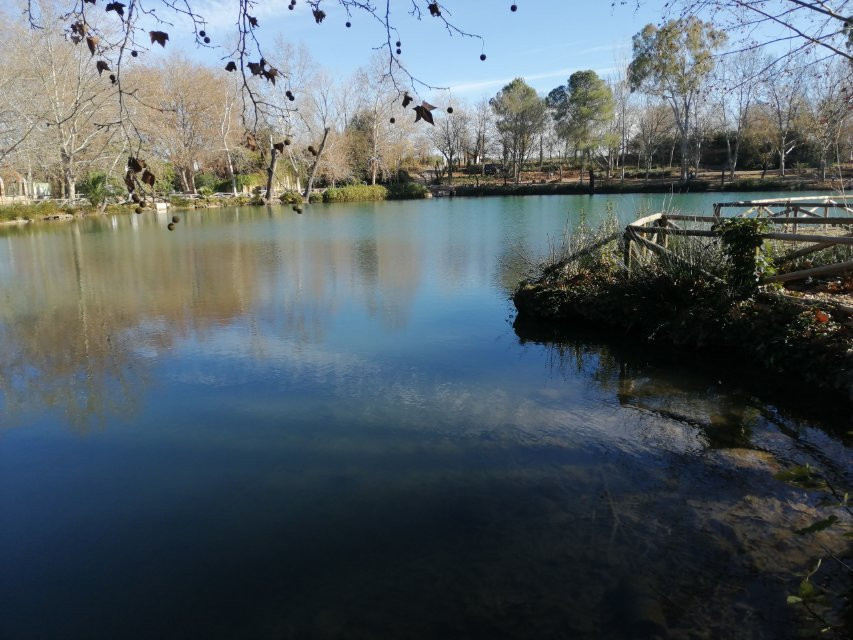 Albufera de Anna景点图片