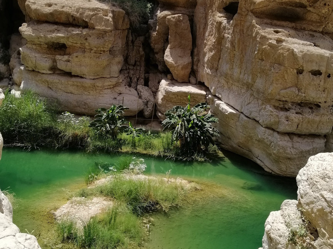 Shab Tours-马斯喀特必去景点