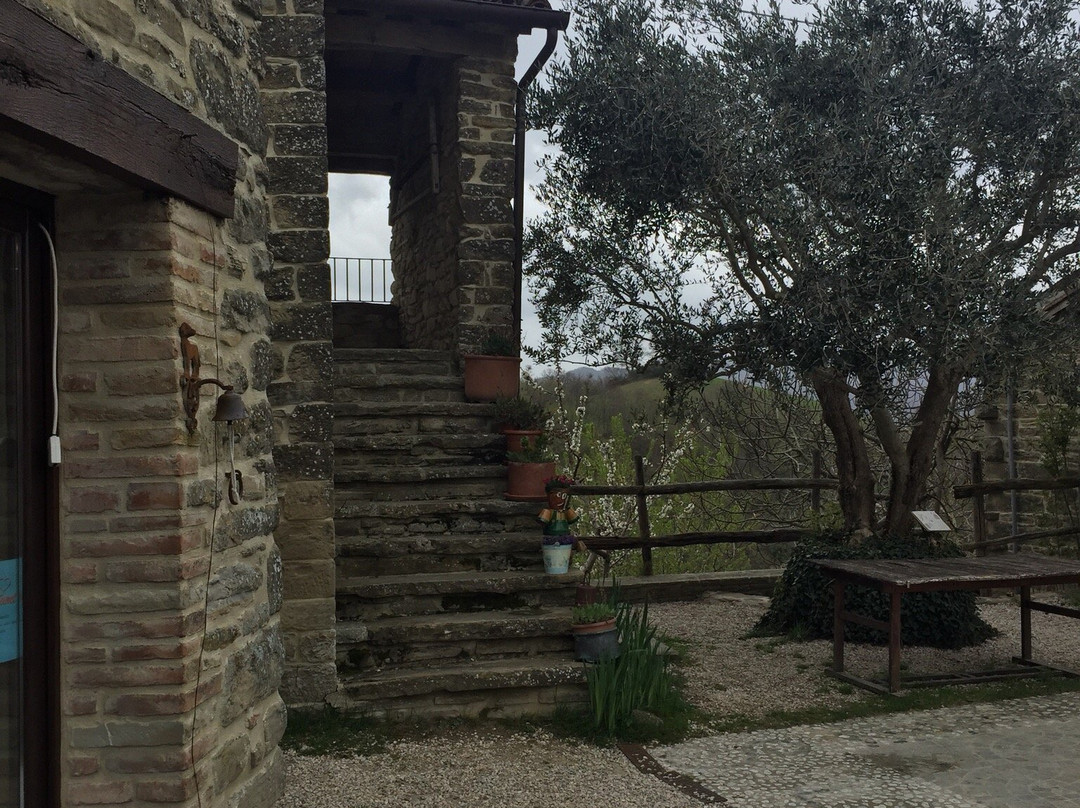 Agriturismo La Grotta dei Folletti主图