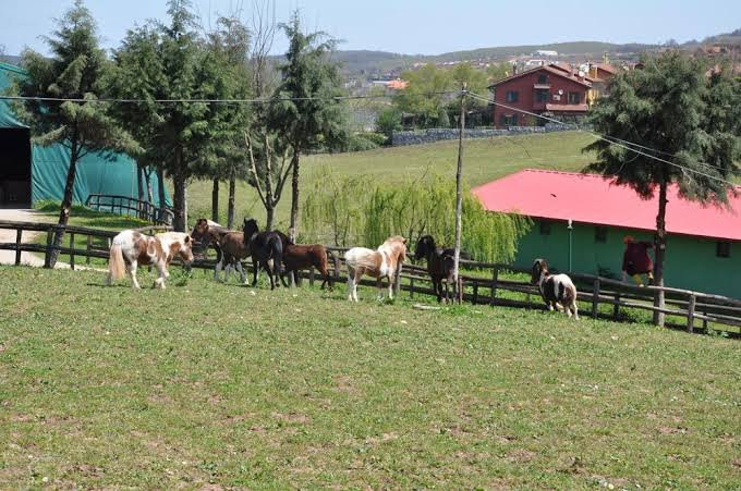 Göçmen's Ranch-伊斯坦布尔必去景点